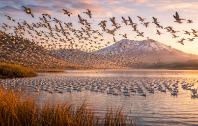 Tule Lake National Wildlife Refuge